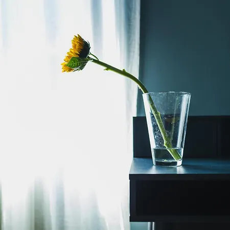 Dimora Hortis, Eleganza E Stile In Centro A *