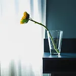 Hortis, L'incontro Tra Il Legno E Il Mare *