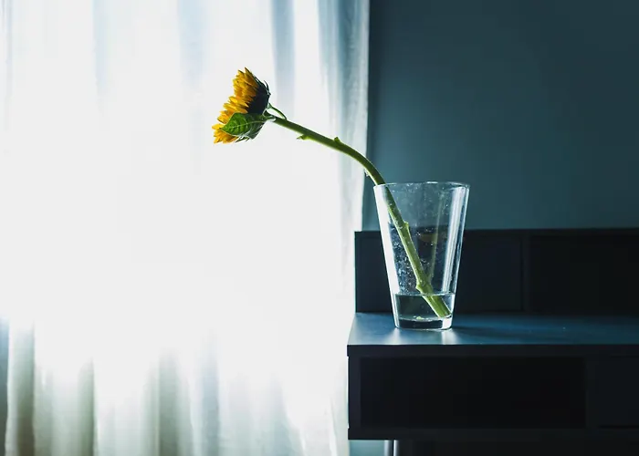 Dimora Hortis, Eleganza E Stile In Centro A *